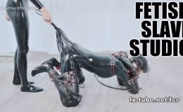 【HD】人間犬に改造されキキのペットとして生きていくことを決心したマオ