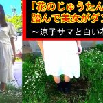 「花のじゅうたん」を踏んで美女がダンス!〜涼子様と白い花編〜