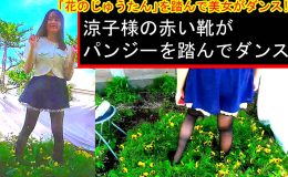 「花のじゅうたん」を踏んで美女がダンス!〜涼子様の赤い靴がパンジーを踏んでダンス〜