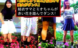 「花のじゅうたん」を踏んで美女がダンス!〜結衣サマとミオちゃんが赤い花を踏んでダンス〜